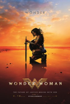 poster Wonder Woman
          (2017)
        