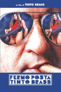 poster Benvenuti al nord
