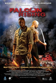 poster Falcon Rising
          (2014)
        