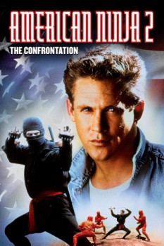 poster American Ninja 2
          (1987)
        